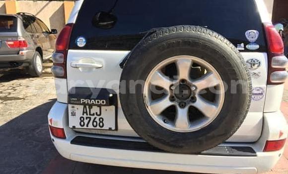 Buy Used Toyota Prado White Car in Lusaka in Zambia Buy Used Toyota Prado White Car in Lusaka in Zambia
