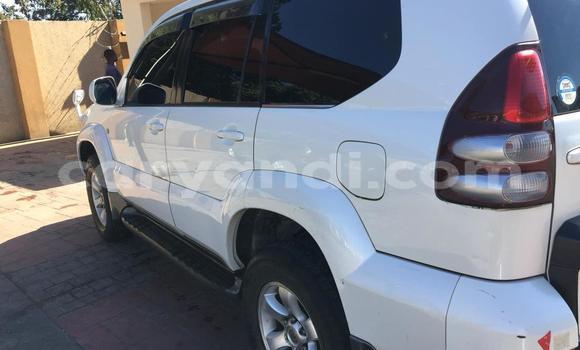 Buy Used Toyota Prado White Car in Lusaka in Zambia Buy Used Toyota Prado White Car in Lusaka in Zambia