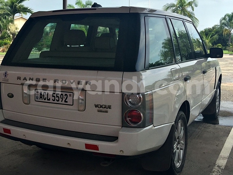 Big with watermark rear