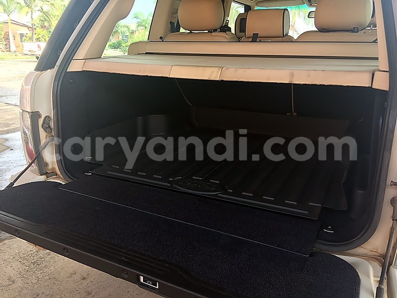 Big with watermark trunk