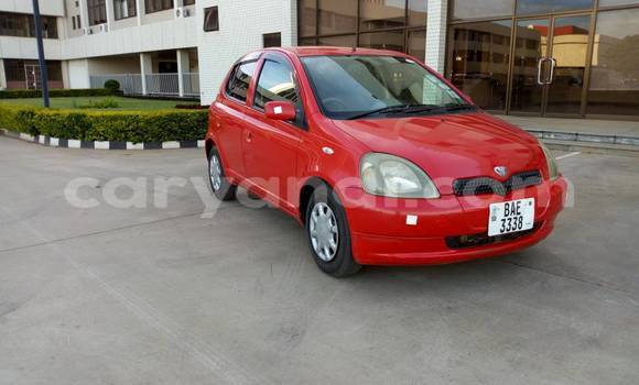 Acheter Occasion Voiture Toyota Vitz Rouge à Lusaka, Zambie Acheter Occasion Voiture Toyota Vitz Rouge à Lusaka, Zambie