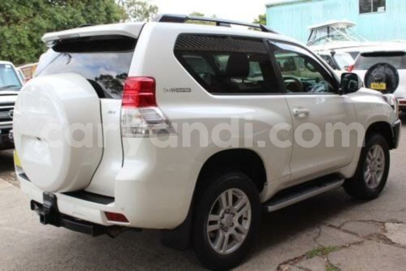 Big with watermark 1 3 