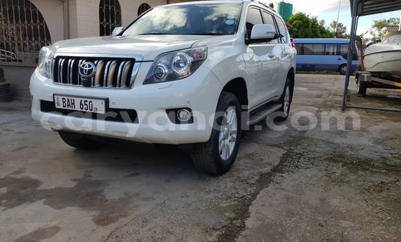 Buy Used Toyota Land Cruiser Prado White Car in Lusaka in Zambia Buy Used Toyota Land Cruiser Prado White Car in Lusaka in Zambia