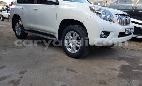 Buy Used Toyota Land Cruiser Prado White Car in Lusaka in Zambia Buy Used Toyota Land Cruiser Prado White Car in Lusaka in Zambia