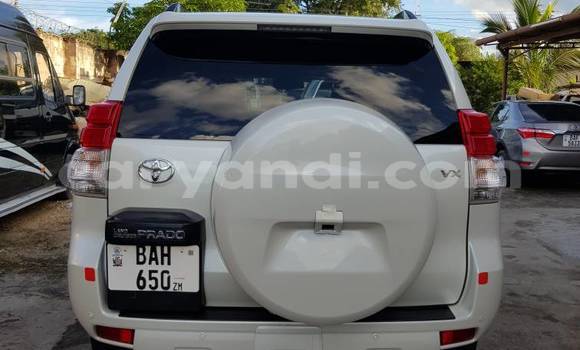Buy Used Toyota Land Cruiser Prado White Car in Lusaka in Zambia Buy Used Toyota Land Cruiser Prado White Car in Lusaka in Zambia