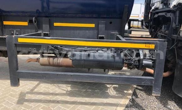 Tenga Tsaru Nissan UD Chena Rori in Lusaka in Zambia Tenga Tsaru Nissan UD Chena Rori in Lusaka in Zambia