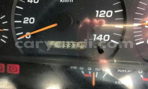 Tenga Tsaru Nissan UD Chena Rori in Lusaka in Zambia Tenga Tsaru Nissan UD Chena Rori in Lusaka in Zambia