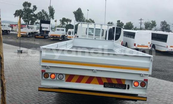 Buy Used Hino 300 Series White Truck in Livingstone in Zambia Buy Used Hino 300 Series White Truck in Livingstone in Zambia