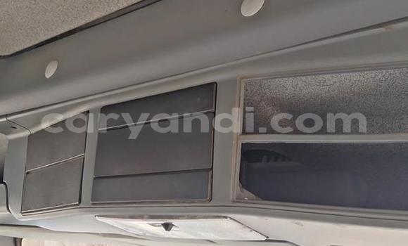 Tenga Tsaru Man TGX Tsvuku Rori in Lusaka in Zambia Tenga Tsaru Man TGX Tsvuku Rori in Lusaka in Zambia