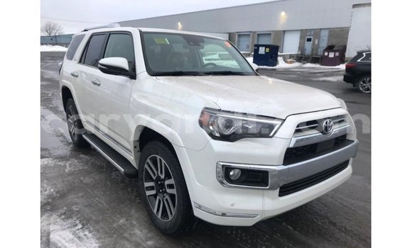 Buy Import Toyota Nadia White Car in Import - Dubai in Zambia Buy Import Toyota Nadia White Car in Import - Dubai in Zambia