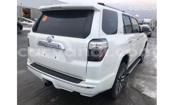 Buy Import Toyota Nadia White Car in Import - Dubai in Zambia Buy Import Toyota Nadia White Car in Import - Dubai in Zambia