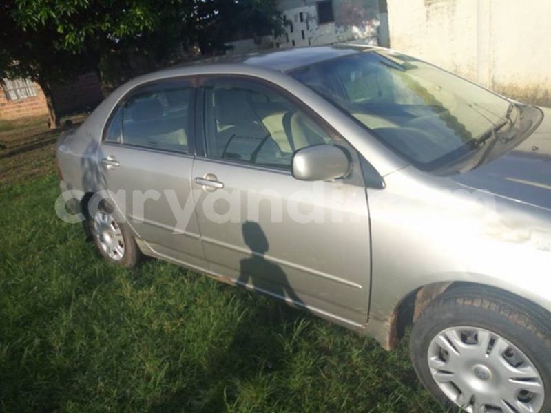 Big with watermark 25075045 1436706473124388 2663118157098388861 o