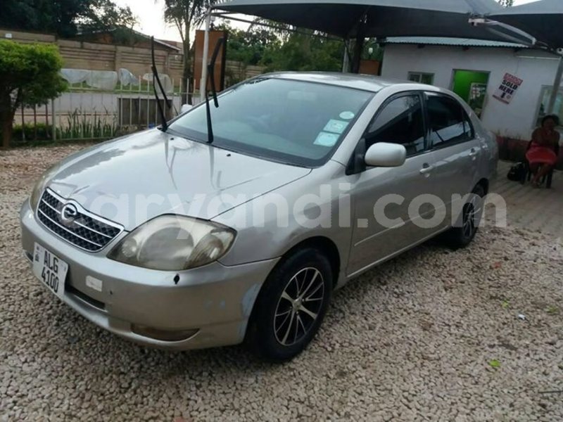 Big with watermark 24959109 1372679829509431 2290911251372580814 o