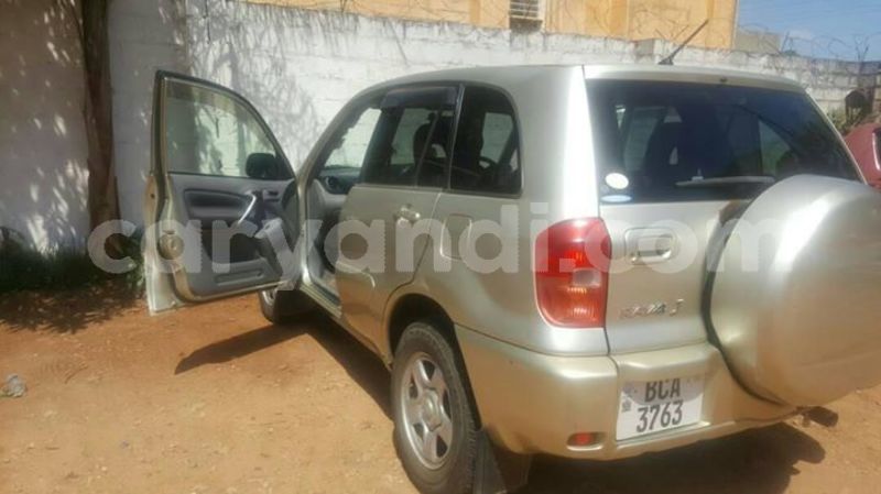 Big with watermark 25075045 1436706473124388 2663118157098388861 o