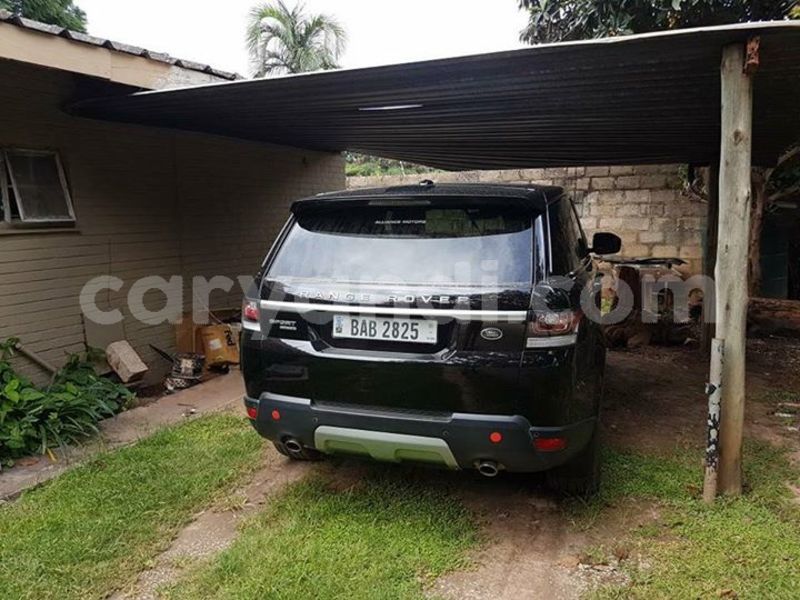 Big with watermark 25152125 1436706493124386 3988117729400250843 n