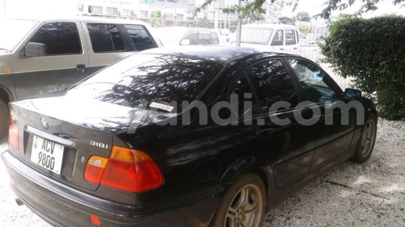 Big with watermark 25075045 1436706473124388 2663118157098388861 o