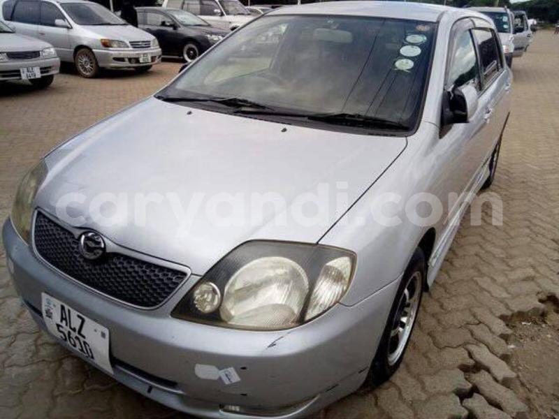 Big with watermark 25075045 1436706473124388 2663118157098388861 o