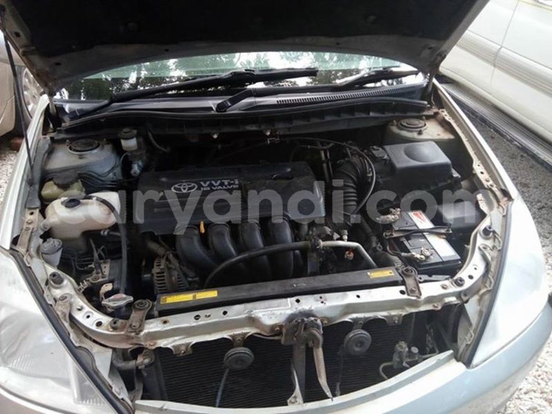 Big with watermark 25075045 1436706473124388 2663118157098388861 o