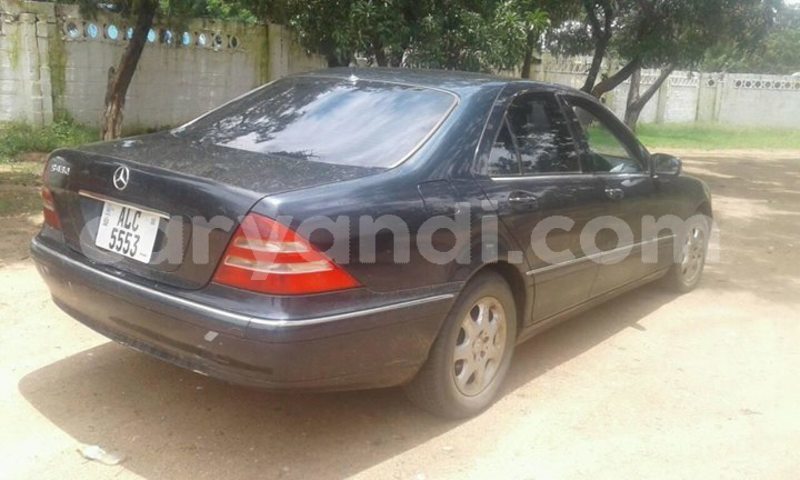 Big with watermark 25075045 1436706473124388 2663118157098388861 o