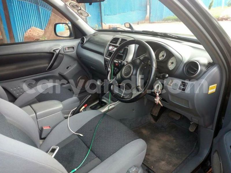 Big with watermark 25075045 1436706473124388 2663118157098388861 o