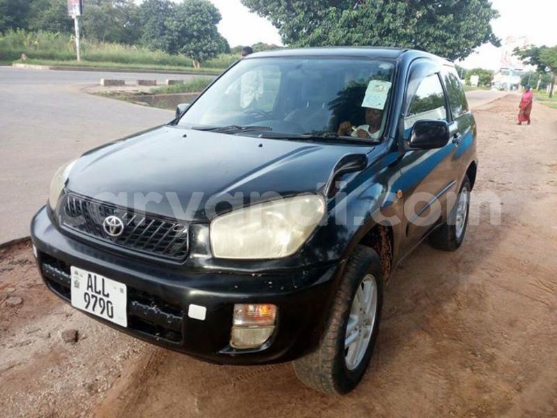 Big with watermark 25152125 1436706493124386 3988117729400250843 n