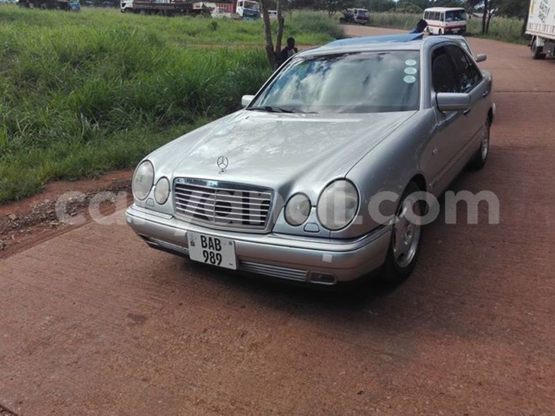 Big with watermark 24959109 1372679829509431 2290911251372580814 o