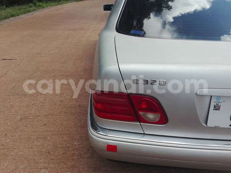 Big with watermark 25075045 1436706473124388 2663118157098388861 o