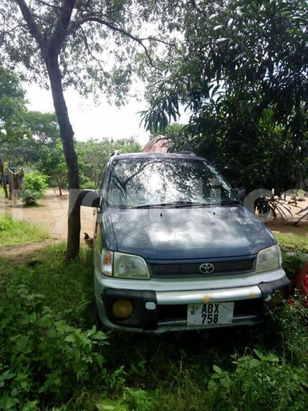 Big with watermark 25075045 1436706473124388 2663118157098388861 o