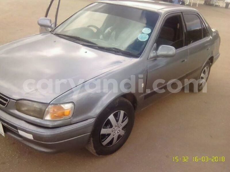 Big with watermark 24959109 1372679829509431 2290911251372580814 o