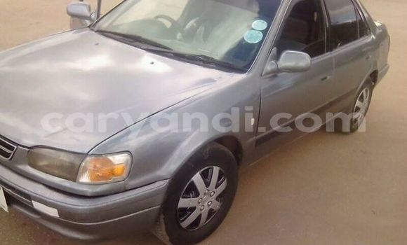 Buy Used Toyota Corolla Other Car in Lusaka in Zambia Buy Used Toyota Corolla Other Car in Lusaka in Zambia
