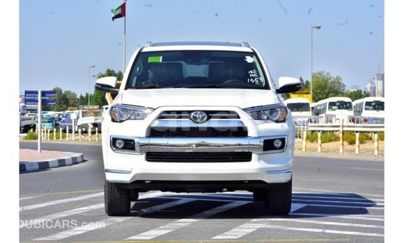 Buy Import Toyota Nadia White Car in Import - Dubai in Zambia Buy Import Toyota Nadia White Car in Import - Dubai in Zambia