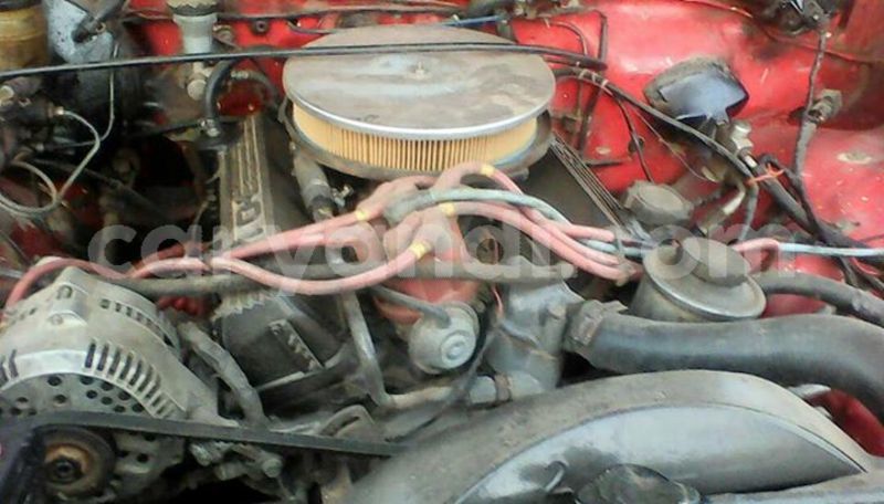 Big with watermark 25075045 1436706473124388 2663118157098388861 o