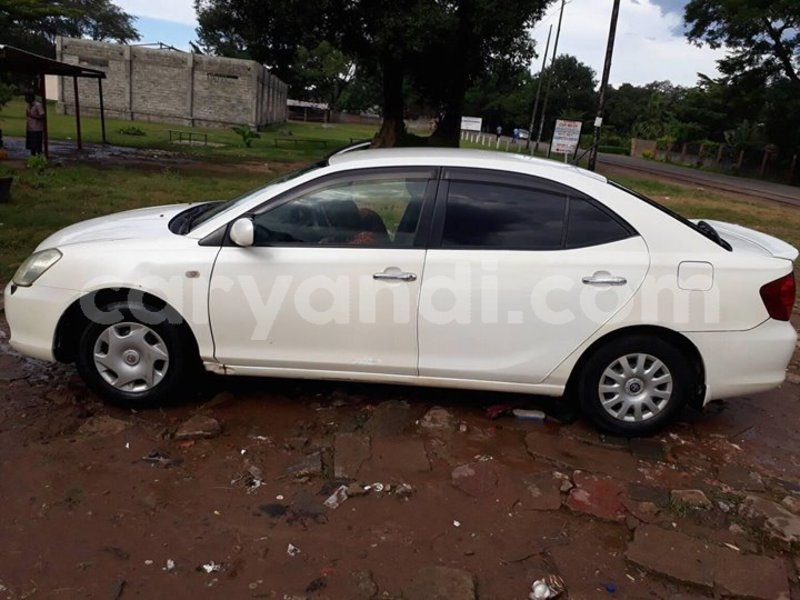 Big with watermark 24959109 1372679829509431 2290911251372580814 o