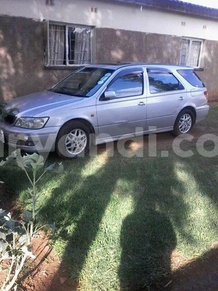 Big with watermark 24959109 1372679829509431 2290911251372580814 o