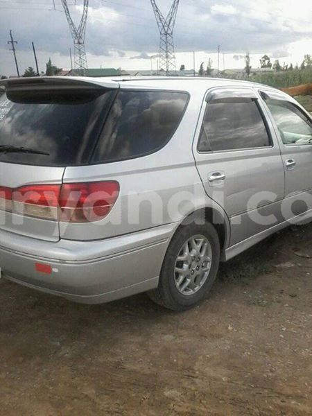 Big with watermark 25075045 1436706473124388 2663118157098388861 o