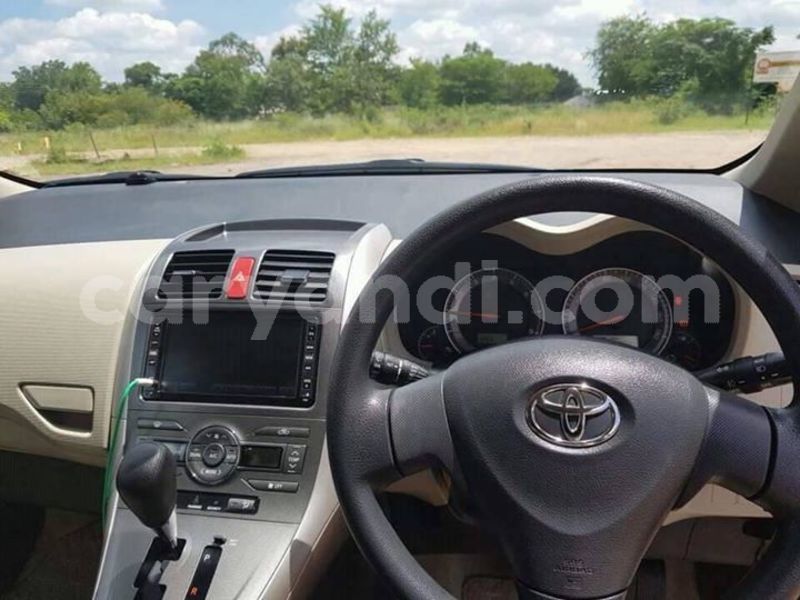 Big with watermark 25152125 1436706493124386 3988117729400250843 n