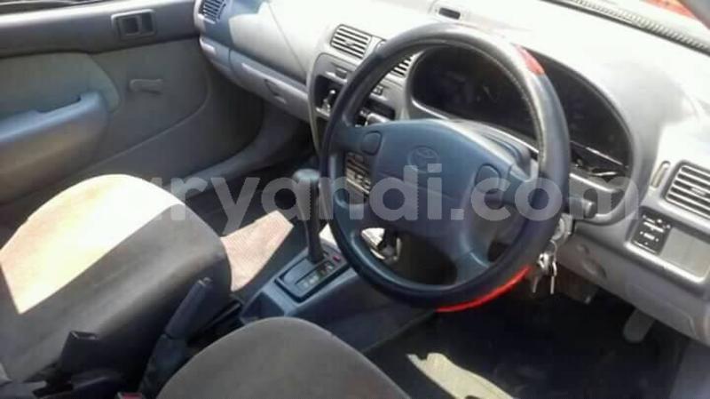 Big with watermark 25152125 1436706493124386 3988117729400250843 n