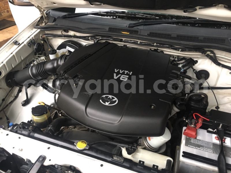 Big with watermark bnmmh8