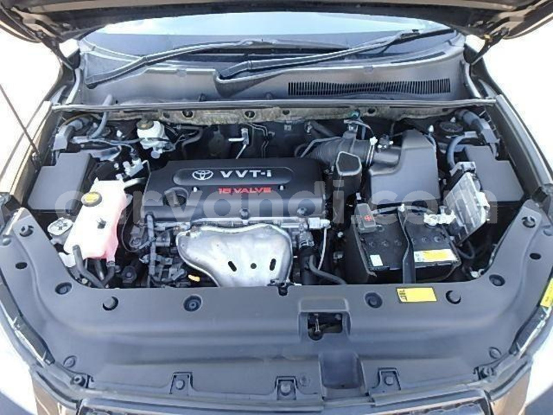 Big with watermark 5