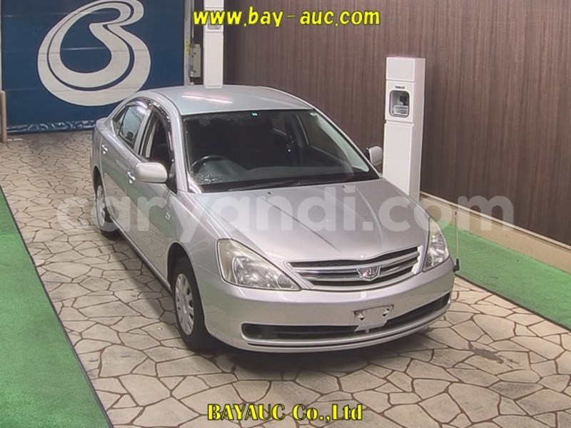 Big with watermark allion 2