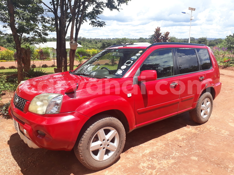 Big with watermark 1522492490836 1467029570