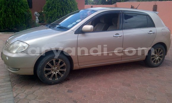 Buy Used Toyota Allex Other Car in Chipata in Zambia