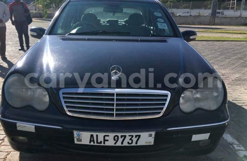 Big with watermark 24959109 1372679829509431 2290911251372580814 o