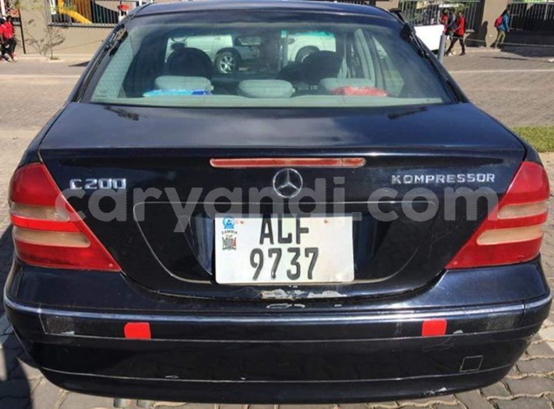 Big with watermark 25075045 1436706473124388 2663118157098388861 o