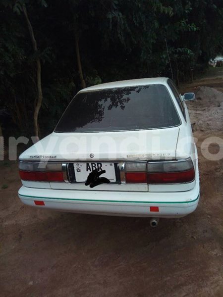 Big with watermark 24959109 1372679829509431 2290911251372580814 o