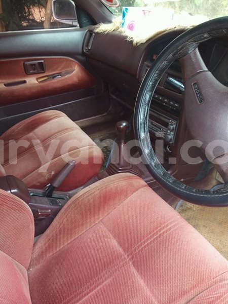 Big with watermark 25152125 1436706493124386 3988117729400250843 n