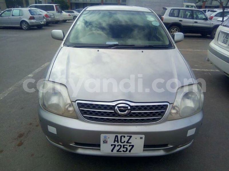 Big with watermark 24959109 1372679829509431 2290911251372580814 o