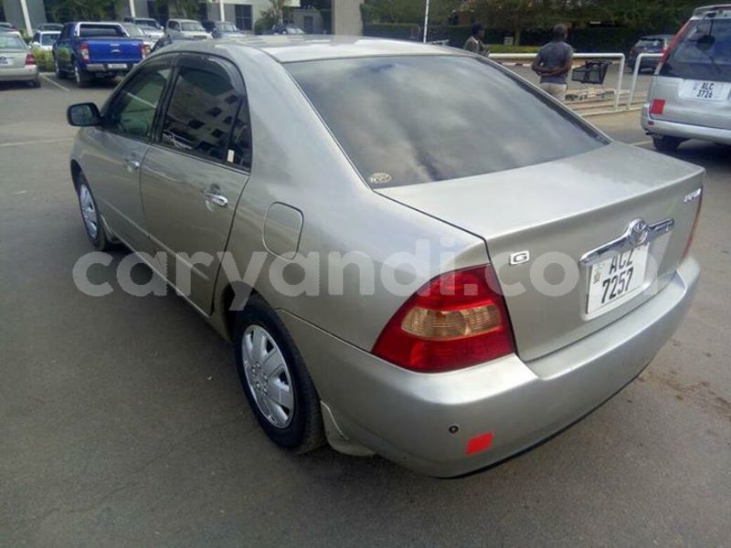 Big with watermark 25075045 1436706473124388 2663118157098388861 o