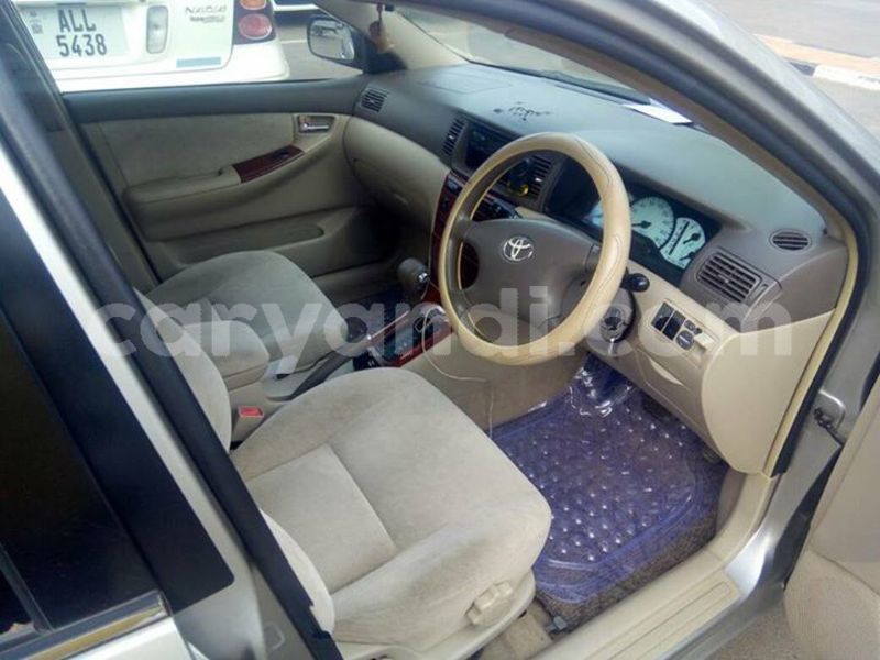 Big with watermark 25152125 1436706493124386 3988117729400250843 n