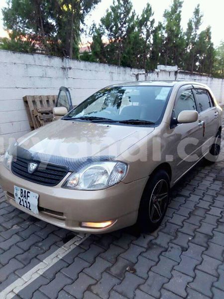 Big with watermark 25075045 1436706473124388 2663118157098388861 o